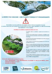 Plante toxique_page-0001