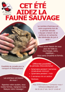 affiche 2026 EV 3 semaines