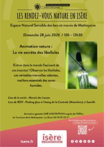 2026-06-28__flyer_anim_libellules_lauzes_page-0001
